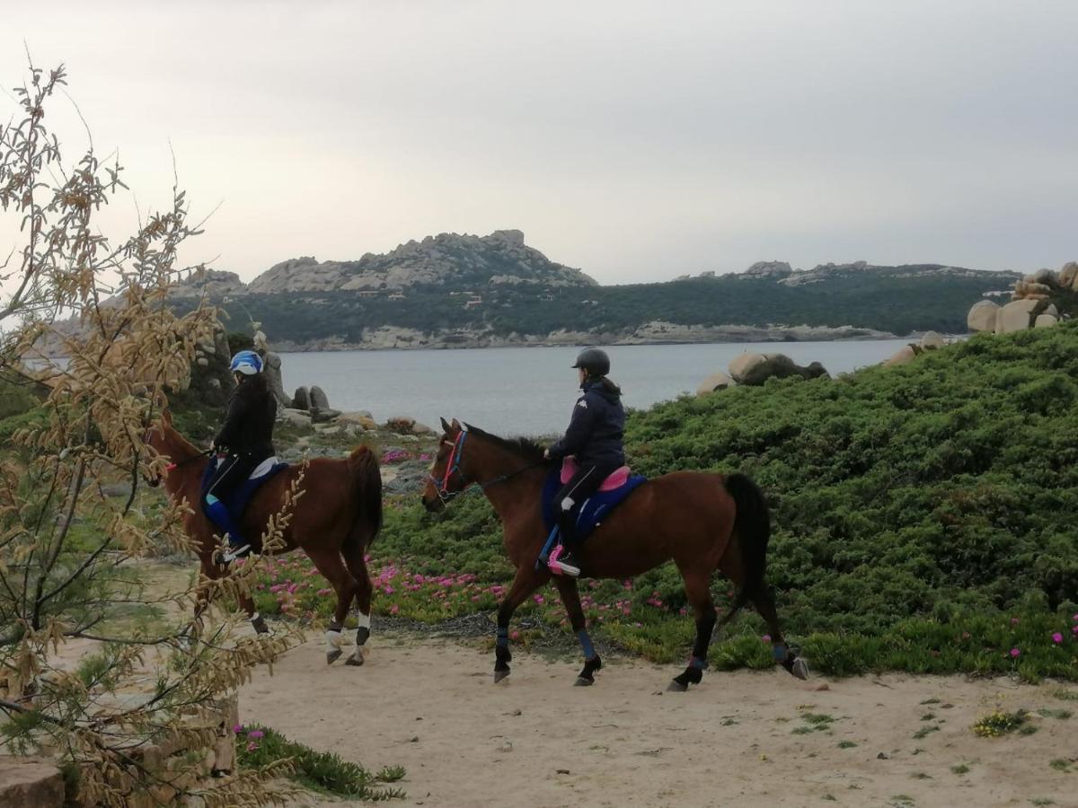 Casa Baia Santa Reparata - Santa Teresa Di Gallura Iun Q1712 מראה חיצוני תמונה
